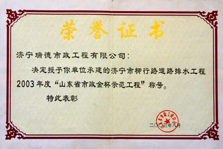 柳行路排水工程獲山東省金杯示范工程獎